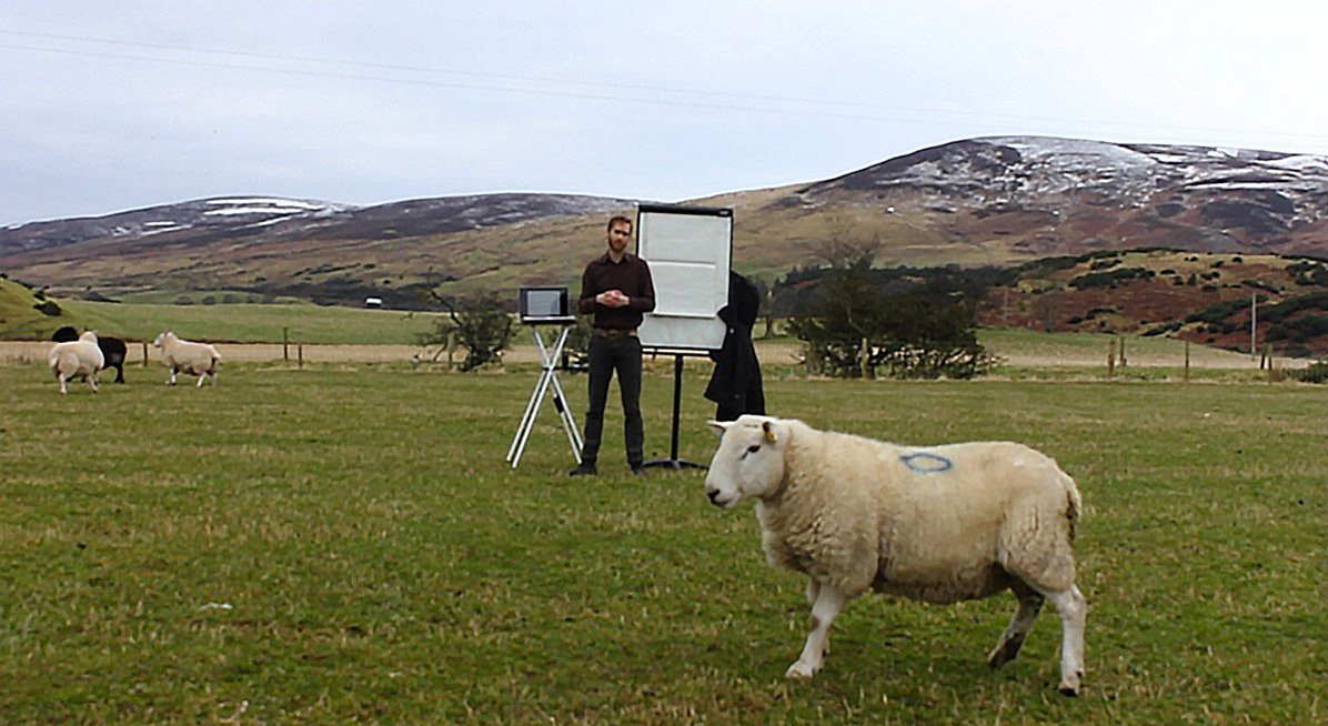 Anthony Schrag Sheep Lecture